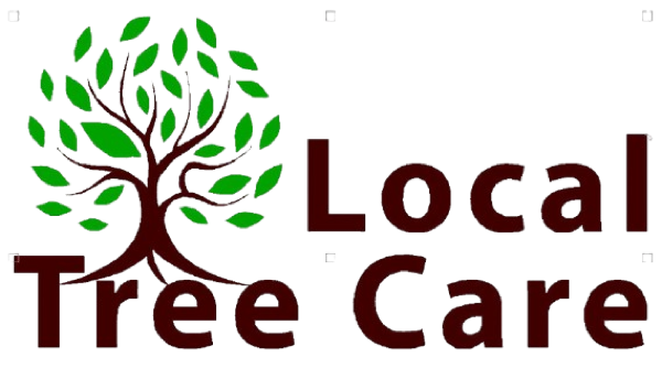 Local Tree Care & Landscaping