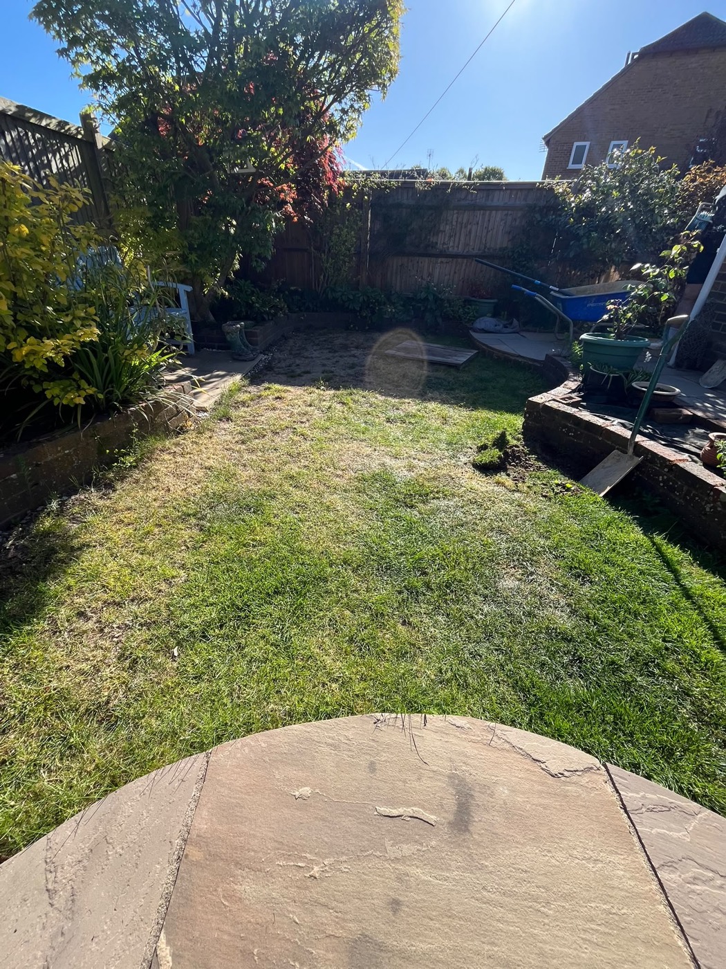 A tired, overgrown garden before work begins