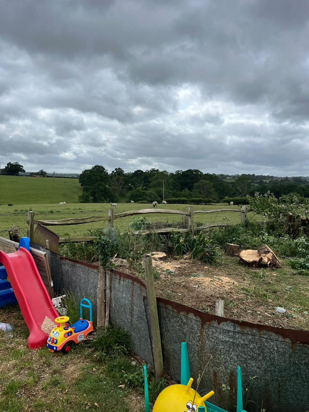The same spot after — conifers removed, field view restored
